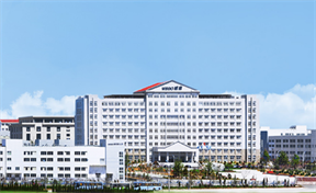 山东威高集团